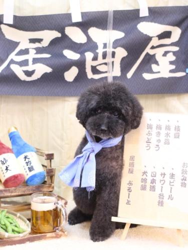 20240615ラブくん